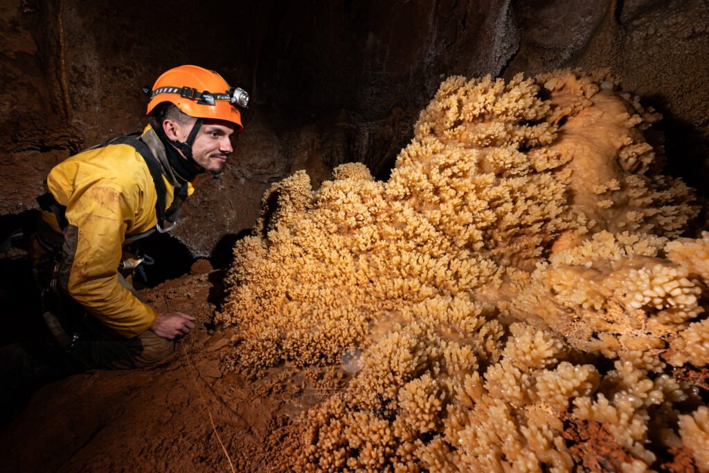 Un spéléo admire un gros massif de choux fleurs. (Spéléothème) (Aven Grotte de l'Émeraude, Gard)