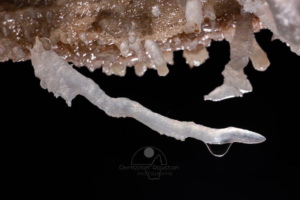 Gros plan sur une excentrique avec une goutte d'eau (Spéléothème) (Aven Grotte de l'Émeraude, Gard)