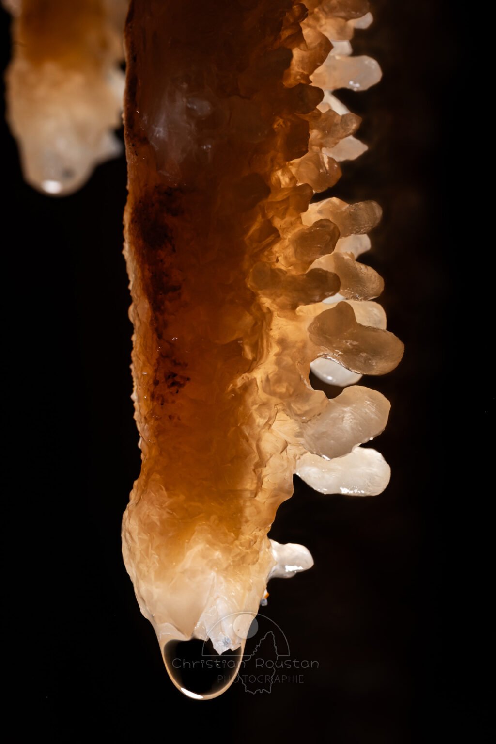 Stalactite recouverte de cristaux. (Spéléothème) (Aven Grotte de l'Émeraude, Gard)