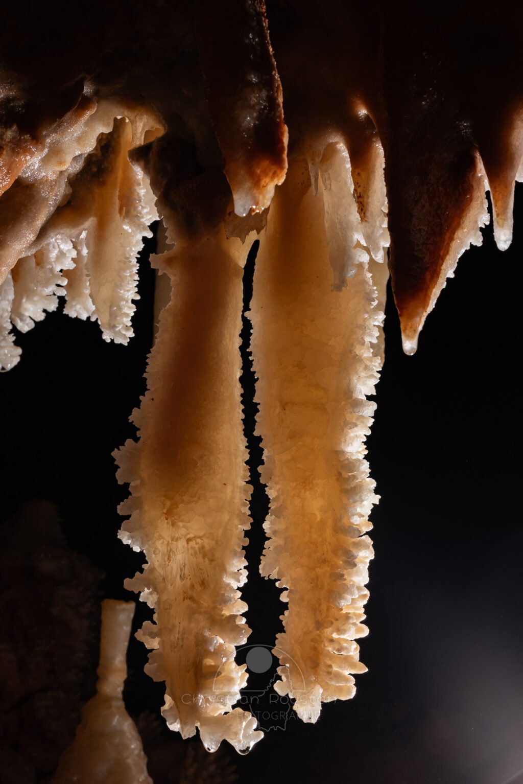 Duo de stalactite (Spéléothème) (Aven Grotte de l'Émeraude, Gard)