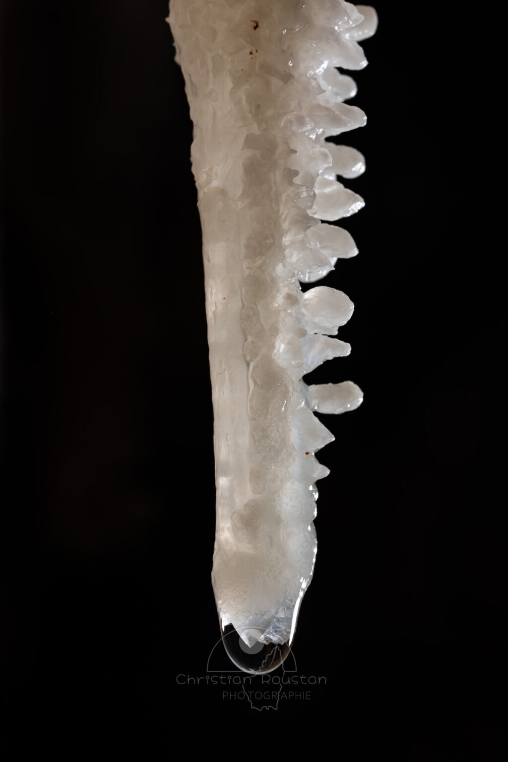 Une stalactite blanche comme du sucre... (Spéléothème) (Aven Grotte de l'Émeraude, Gard)