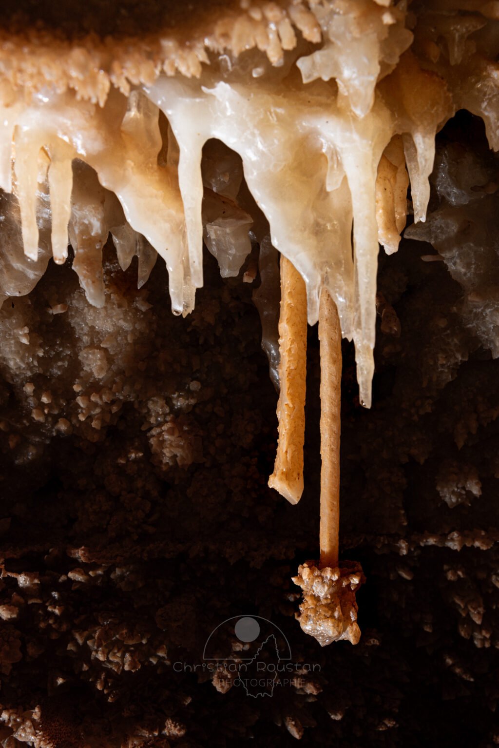 Fistuleuse de section carré avec cristaux (Spéléothème, Grotte de l'interrogation, Gard)