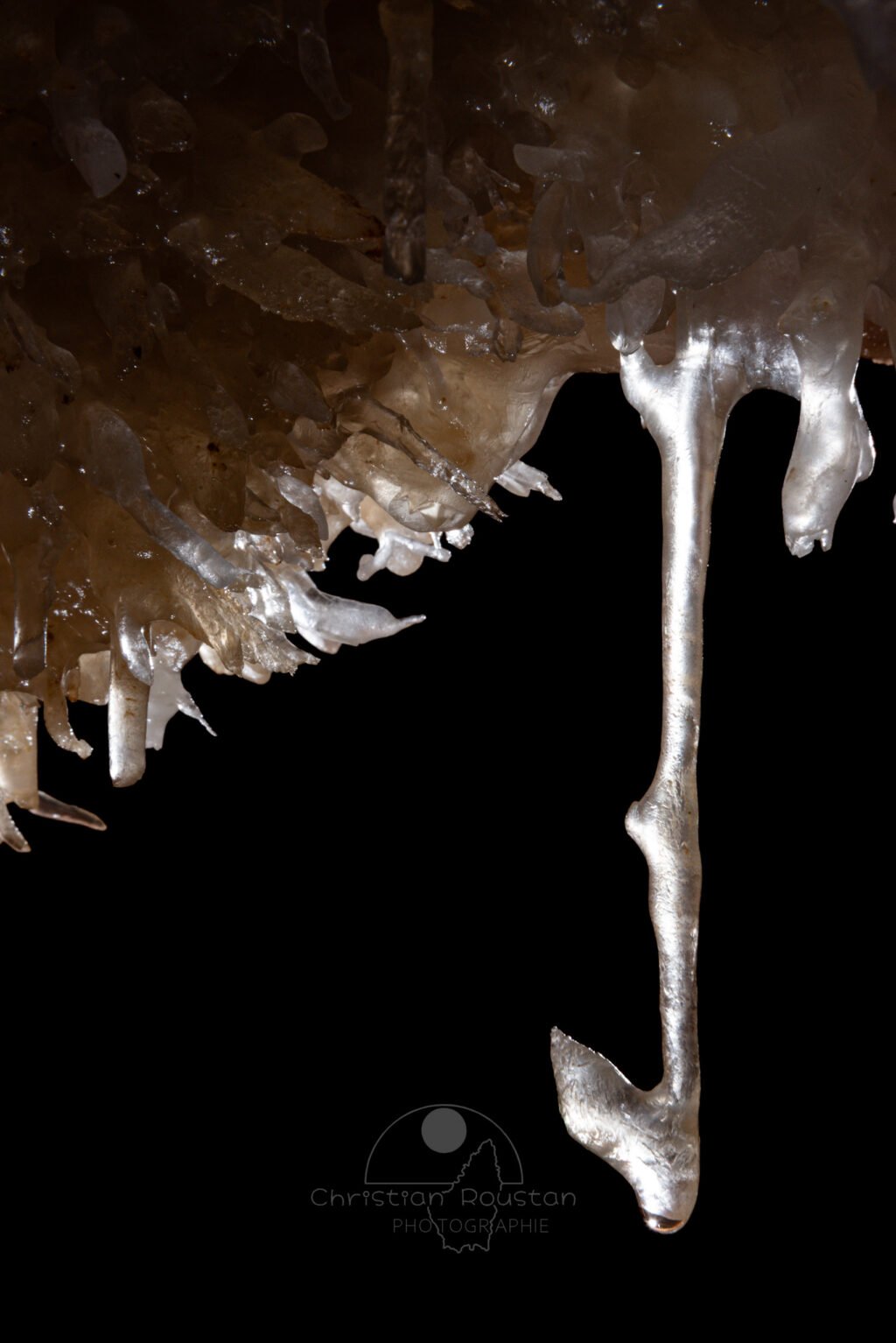 Fistuleuse excentrique translucide en forme de harpon (Spéléothème, Grotte de l'interrogation, Gard)