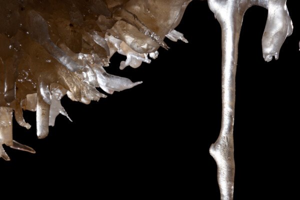 Fistuleuse excentrique translucide en forme de harpon (Spéléothème, Grotte de l'interrogation, Gard)