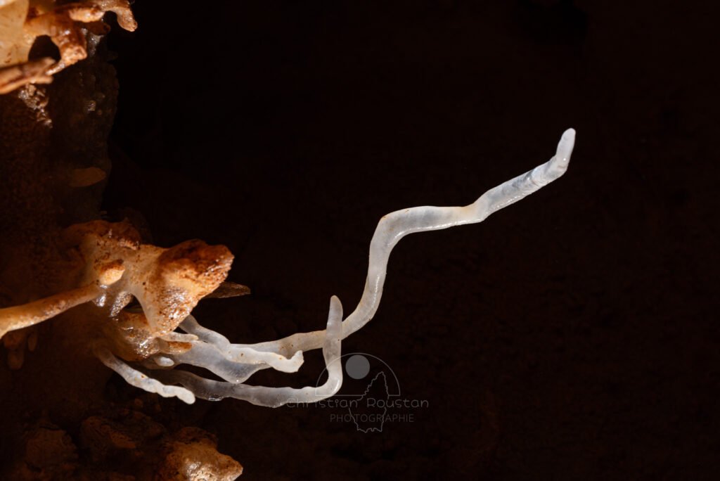 Une fine excentrique blanche se détache sur le fond noir (Spéléothème, Grotte de l'interrogation, Gard)
