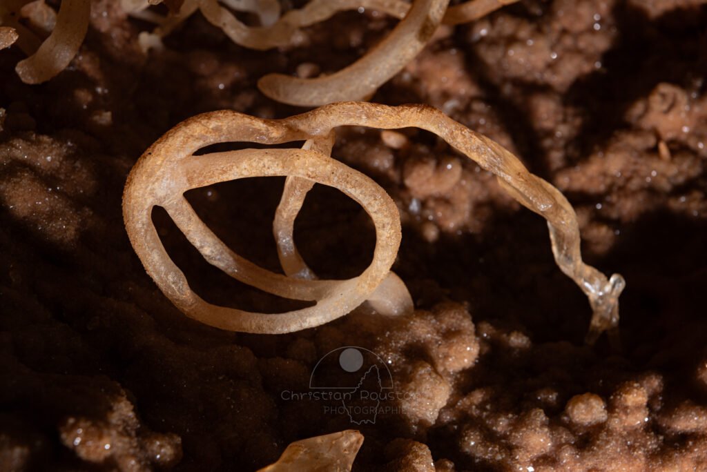 Excentrique insolite en forme de spirale (Spéléothème, Grotte de l'interrogation, Gard)