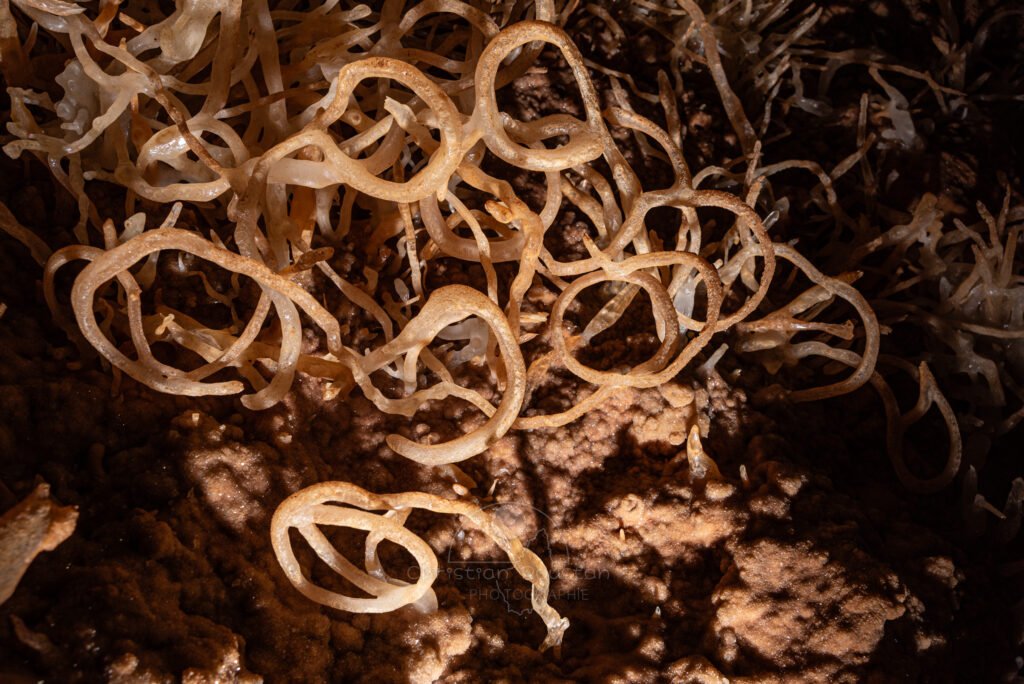 Des spirales infernales se dessinent sur la paroi (Spéléothème, Grotte de l'interrogation, Gard)