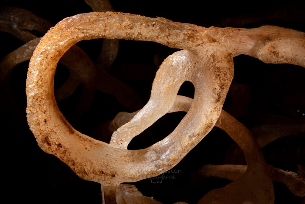 Détail sur une excentrique des plus excentrique. (Spéléothème, Grotte de l'interrogation, Gard)