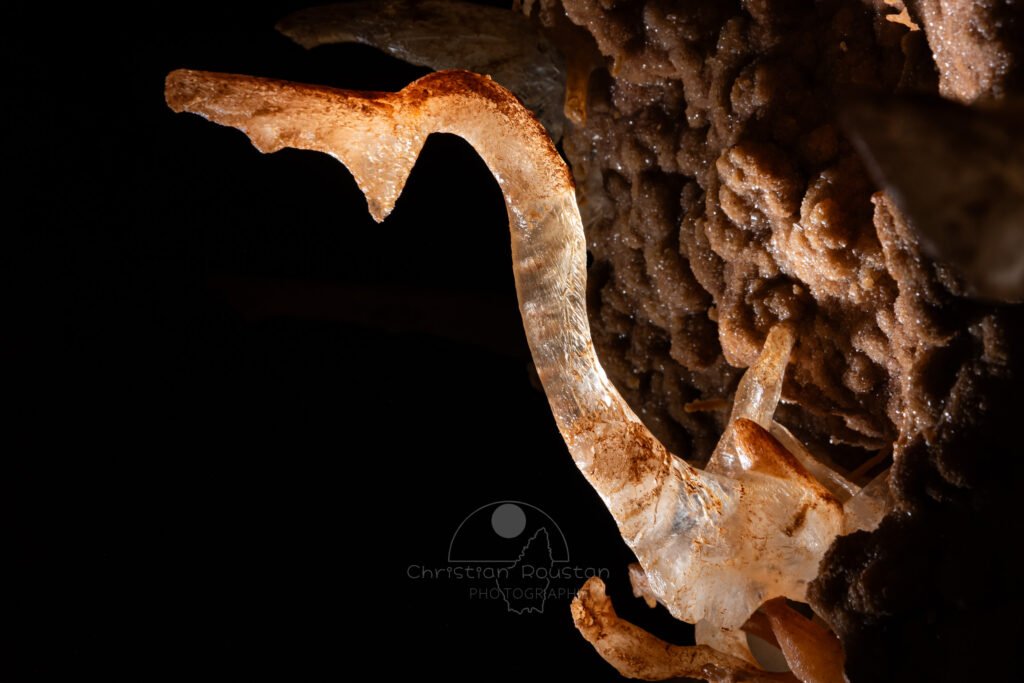 Un dragon de pierre surgit de la paroi (Spéléothème, Grotte de l'interrogation, Gard)