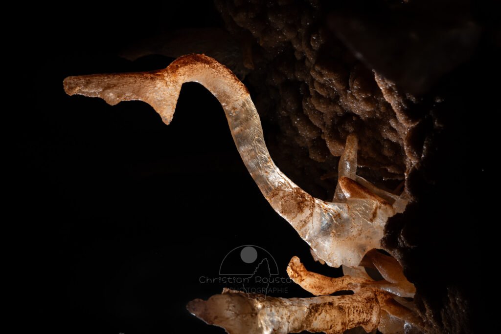 Une allure animale (Spéléothème, Grotte de l'interrogation, Gard)