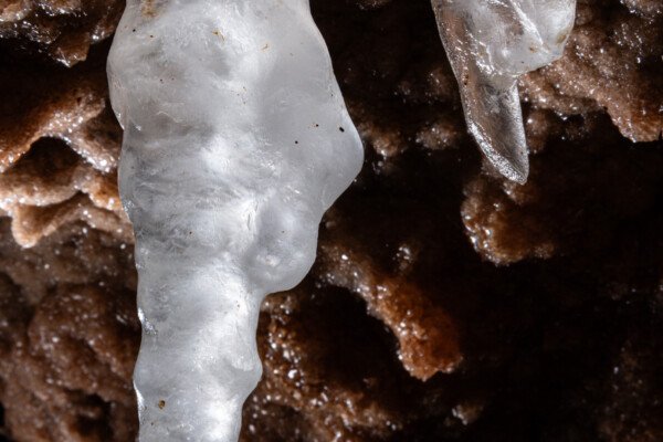 De la calcite avec la pureté de la glace (Spéléothème, Grotte de l'interrogation, Gard)