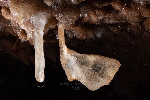 Duo d'aile de papillon et de fistuleuse (Spéléothème, Grotte de l'interrogation, Gard)