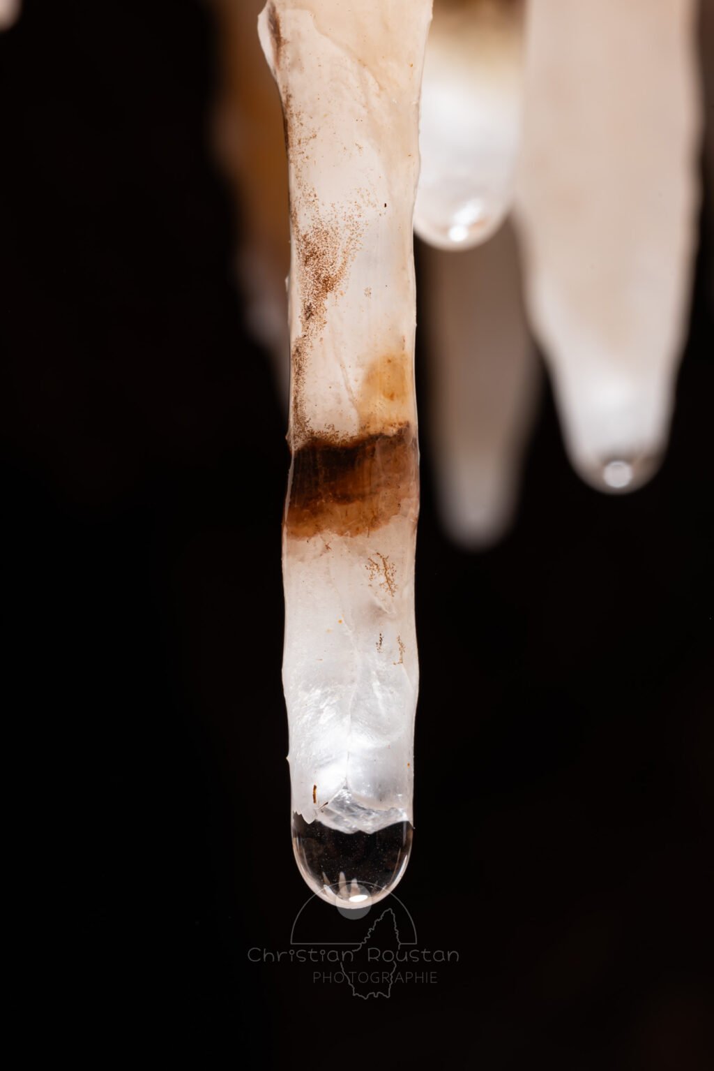 Anneau ocre sur une fistuleuse blanche (Spéléothème, Grotte de l'interrogation, Gard)