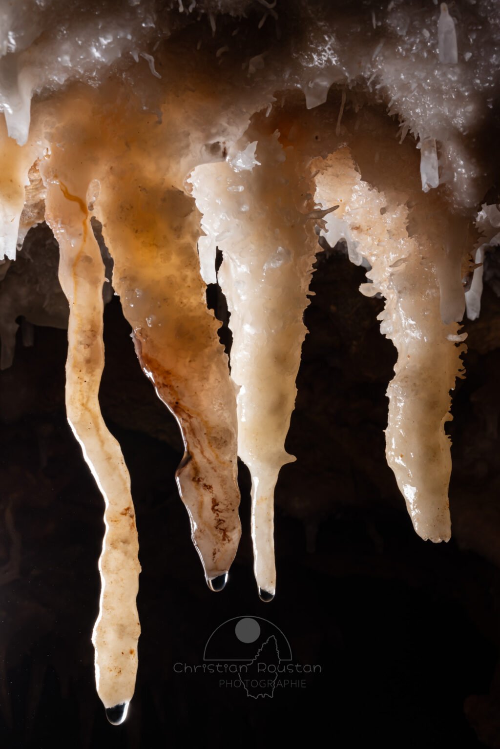 Ensemble de stalactites tordues avec des gouttes d'eau (Spéléothème, Grotte de l'interrogation, Gard)