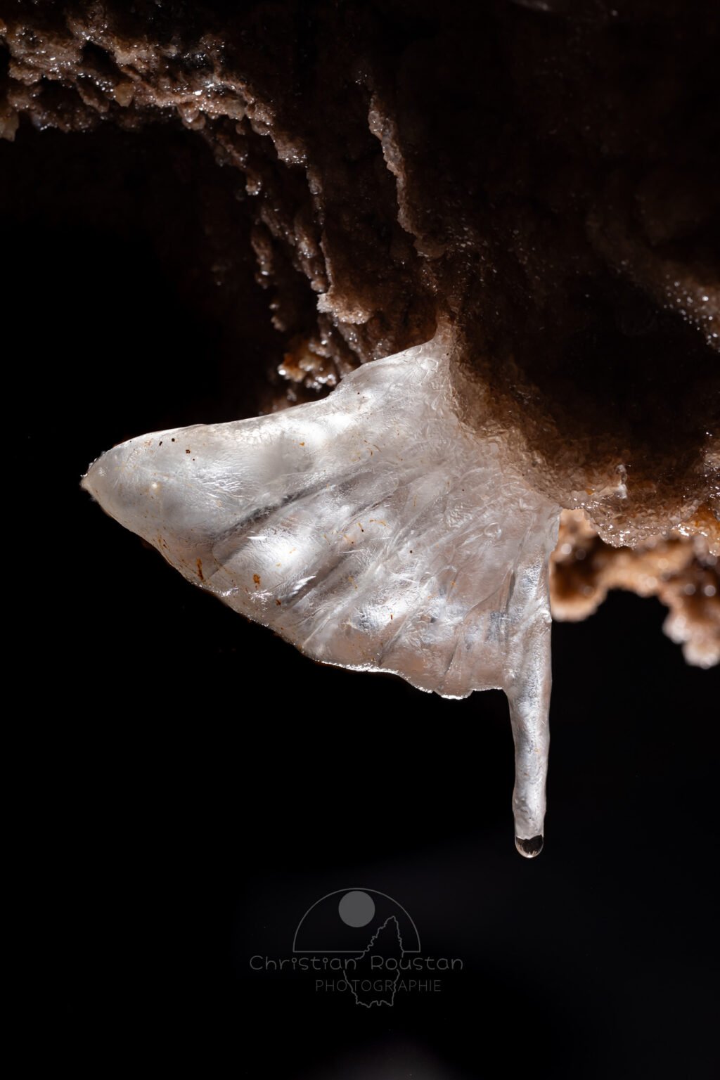 Aile minérale translucide (Spéléothème, Grotte de l'interrogation, Gard)