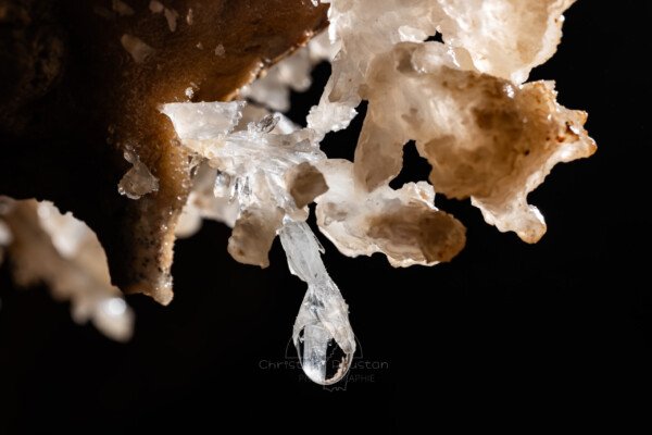 La goutte emprisonnée par les cristaux (Spéléothème, Grotte de l'interrogation, Gard)