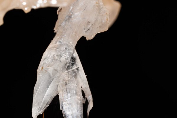 Cristal fragile (Spéléothème, Grotte de l'interrogation, Gard)