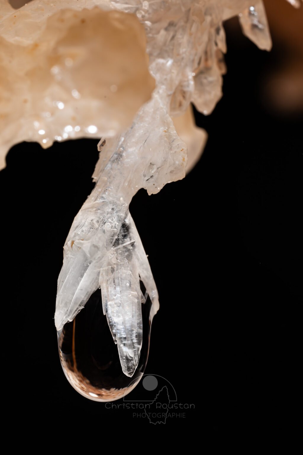 Cristal fragile (Spéléothème, Grotte de l'interrogation, Gard)