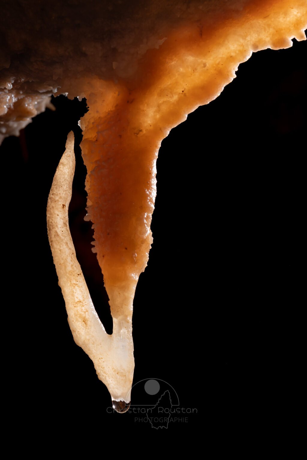 Une concrétion en forme de harpon bicolore (Spéléothème, Grotte de l'interrogation, Gard)