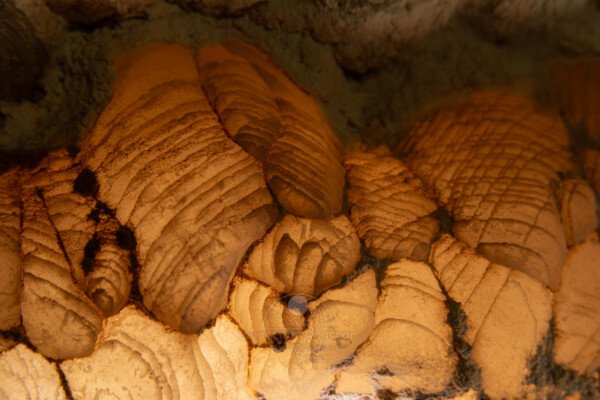 Éclairage par transparence des cristaux (hydrothermale, Grotte des Maquisards, Ardèche)
