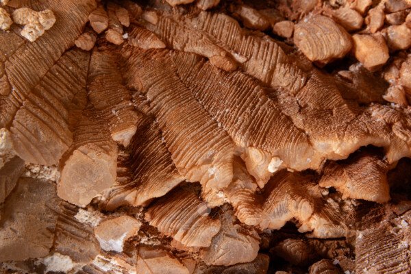 Empilage de cristaux (hydrothermale, Grotte des Maquisards, Ardèche)