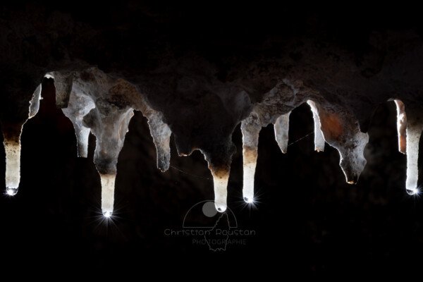 Un ensemble de fistuleuses sur la paroi (hydrothermale, Grotte des Maquisards, Ardèche)