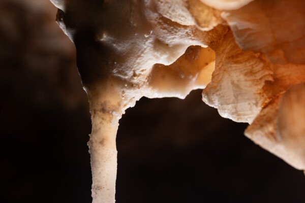 Un fil se cristallise à l’intérieur de la goutte... (hydrothermale, Grotte des Maquisards, Ardèche)