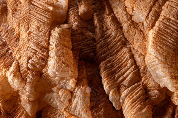 Gros plan sur les cristaux (hydrothermale, Grotte des Maquisards, Ardèche)