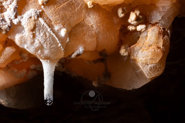 Une fistuleuse blanche avec des cristaux en suspension dans la goutte d'eau (hydrothermale, Grotte des Maquisards, Ardèche)