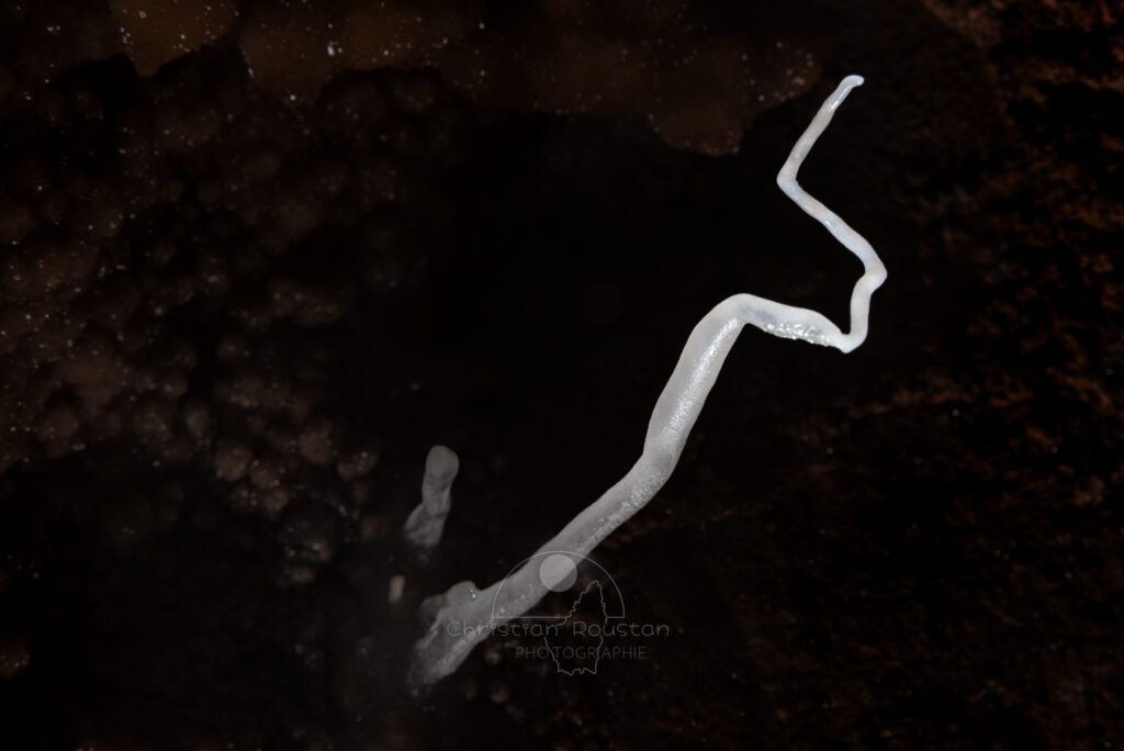 Détail sur l'excentrique en forme de manivelle. (Aven Grotte Nouvelle, Ardèche)
