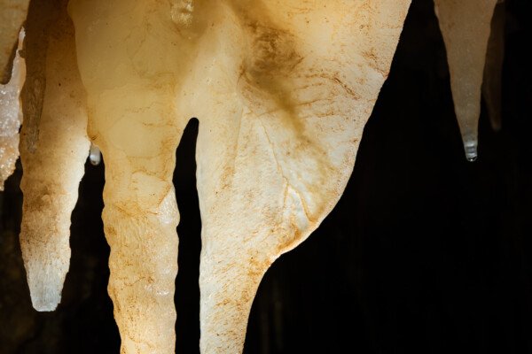 Un binôme draperie plus stalactite aux couleurs laiteuses (Grotte de la Barbette, Réseau Estevan, Gard)