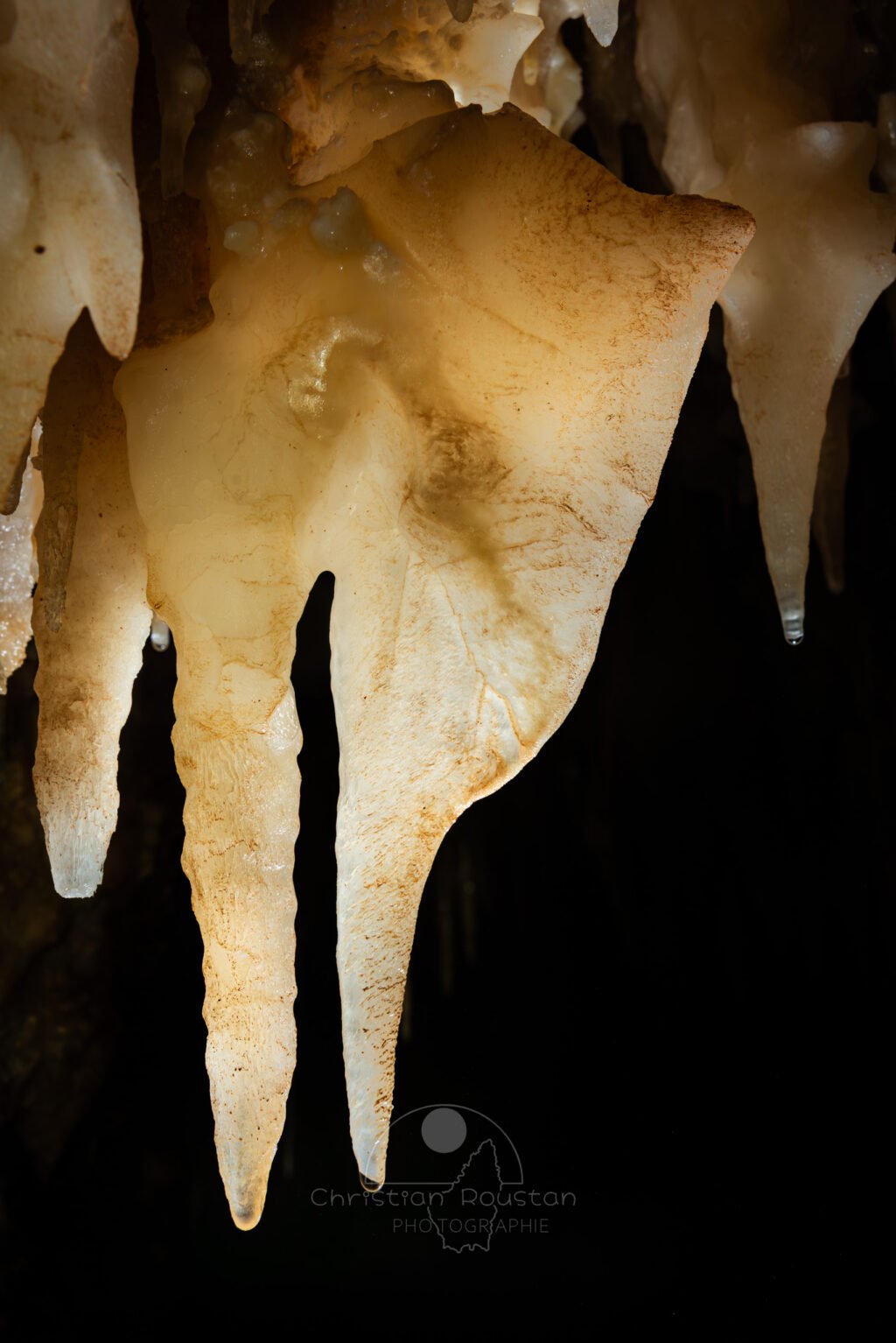 Un binôme draperie plus stalactite aux couleurs laiteuses (Grotte de la Barbette, Réseau Estevan, Gard)