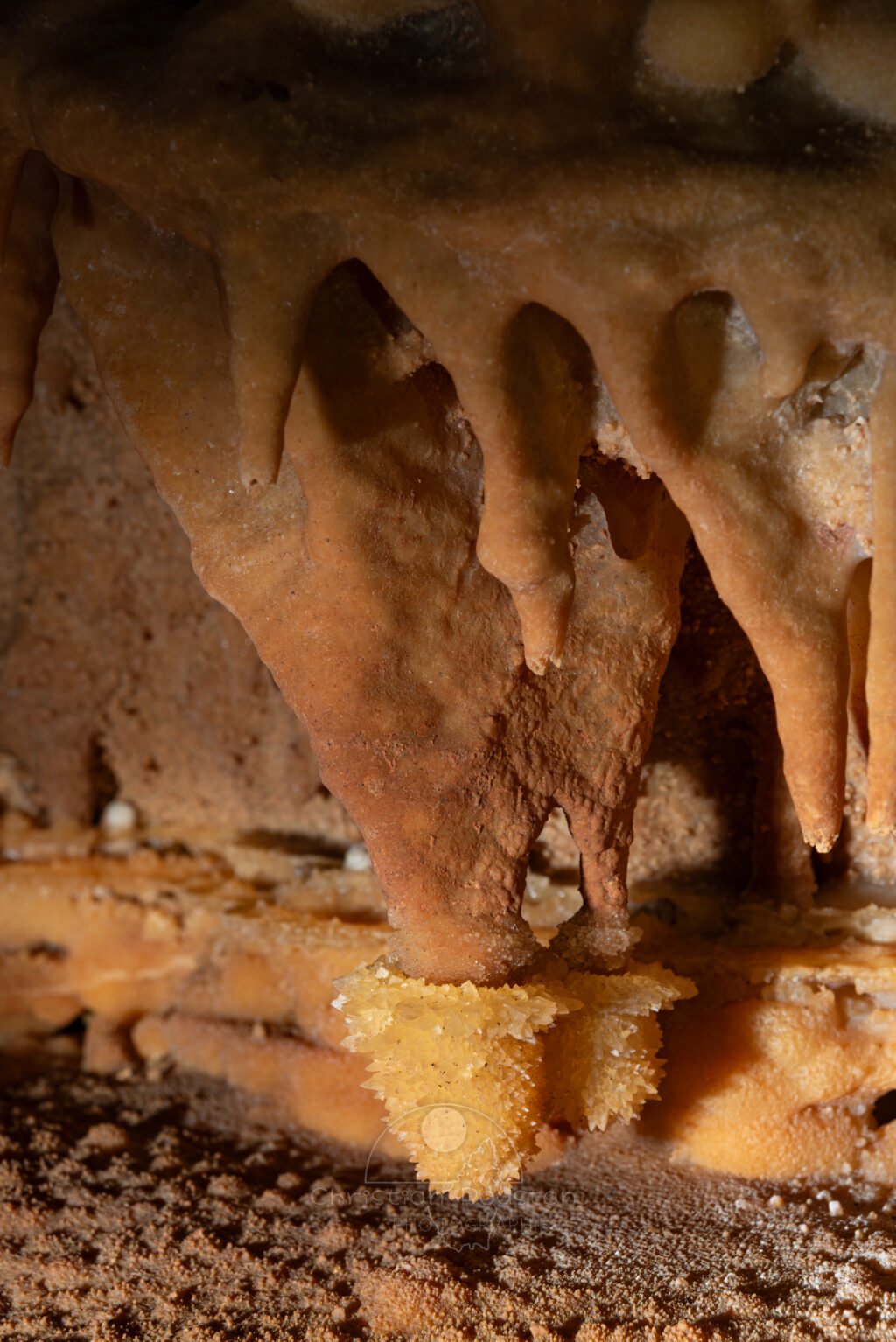 Deux massues cristallisées à l’extrémité de stalactites (Grotte de la Barbette, Réseau Estevan, Gard)