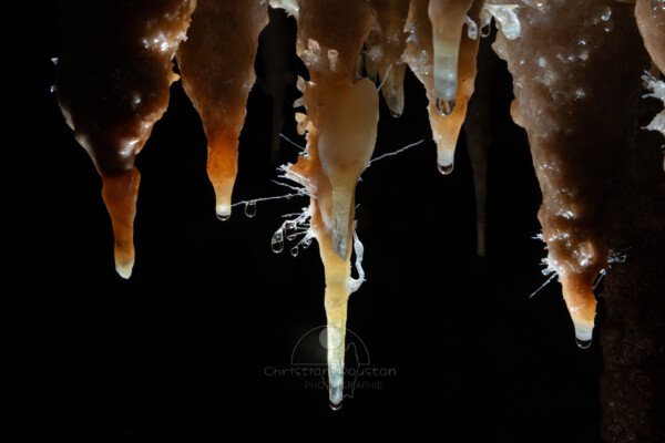 Vue d'ensemble avec stalactites fistuleuses et gouttes d'eau sur des aiguillettes (Grotte de la Barbette, Réseau Estevan, Gard)