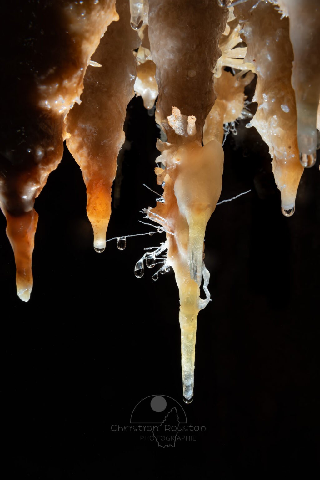 Vue d'ensemble avec stalactites fistuleuses et gouttes d'eau sur des aiguillettes (Grotte de la Barbette, Réseau Estevan, Gard)