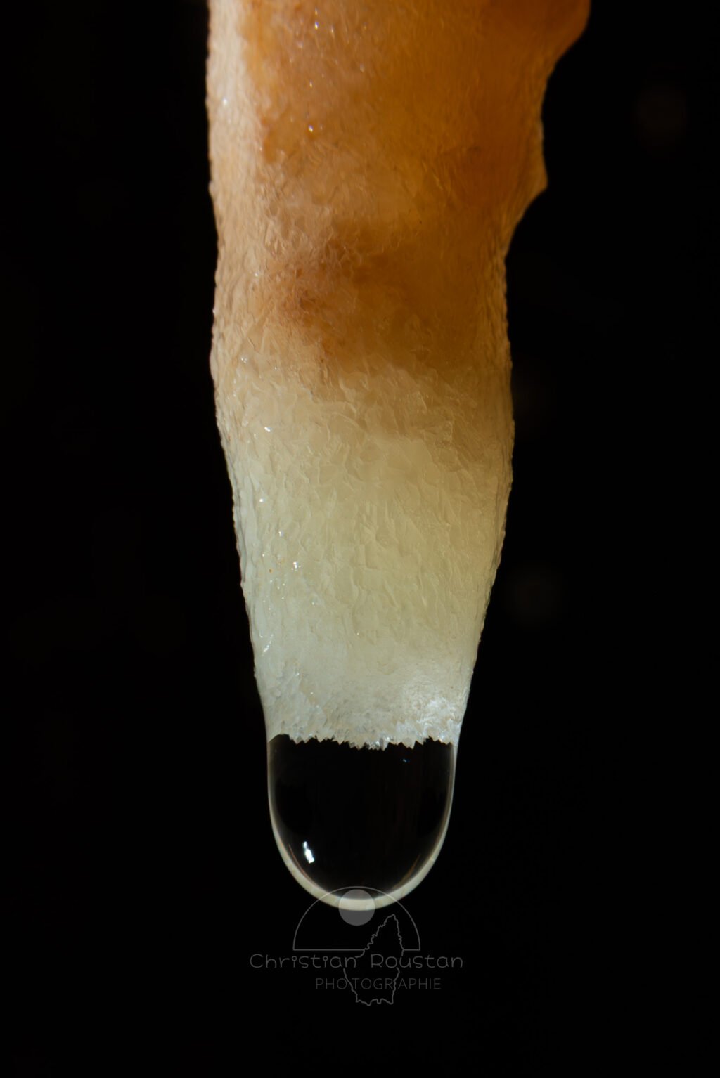 Dégradé de couleurs sur une stalactite (Grotte de la Barbette, Réseau Estevan, Gard)