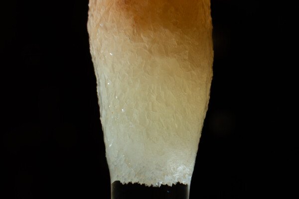 Dégradé de couleurs sur une stalactite (Grotte de la Barbette, Réseau Estevan, Gard)