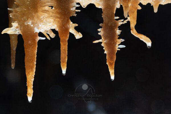 Ensemble de stalactites avec des excentriques (Grotte de la Barbette, Réseau Estevan, Gard)
