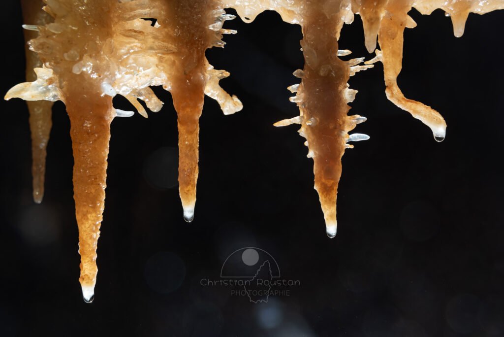 Ensemble de stalactites avec des excentriques (Grotte de la Barbette, Réseau Estevan, Gard)