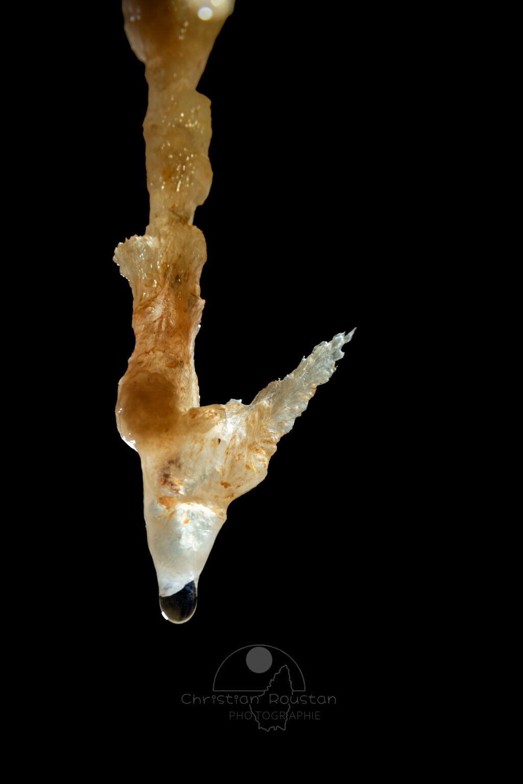 Une concrétion en forme de harpon (Grotte de la Barbette, Réseau Estevan, Gard)
