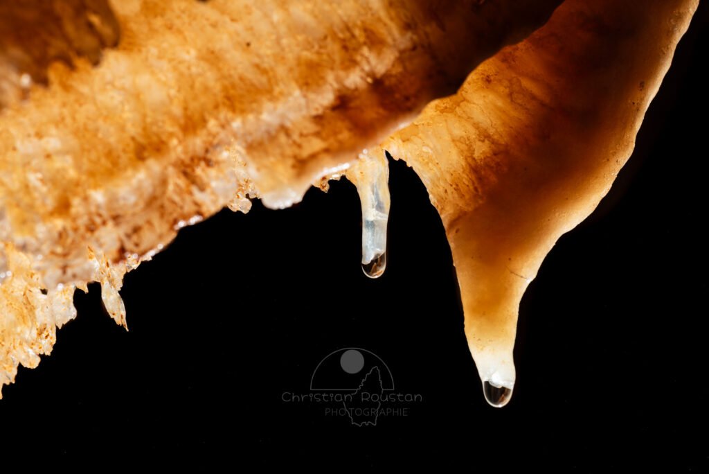 Petit ensemble de draperies (Grotte de la Barbette, Réseau Estevan, Gard)