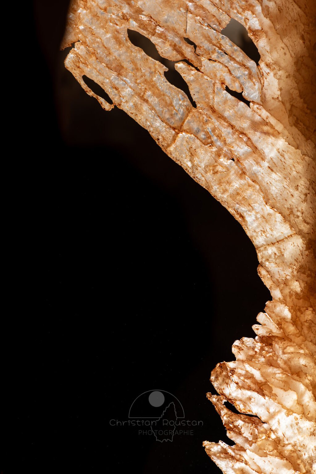 Vue en gros plan d'une draperie corrodée (Grotte de la Barbette, Réseau Estevan, Gard)