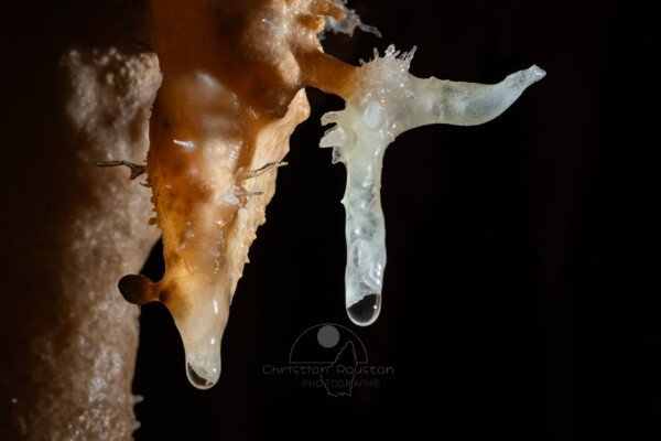 Forme improbable (Grotte de la Barbette, Réseau Estevan, Gard)