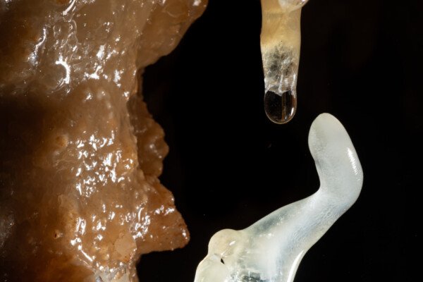 Excentrique proche d'une fistuleuse (Grotte de la Barbette, Réseau Estevan, Gard)
