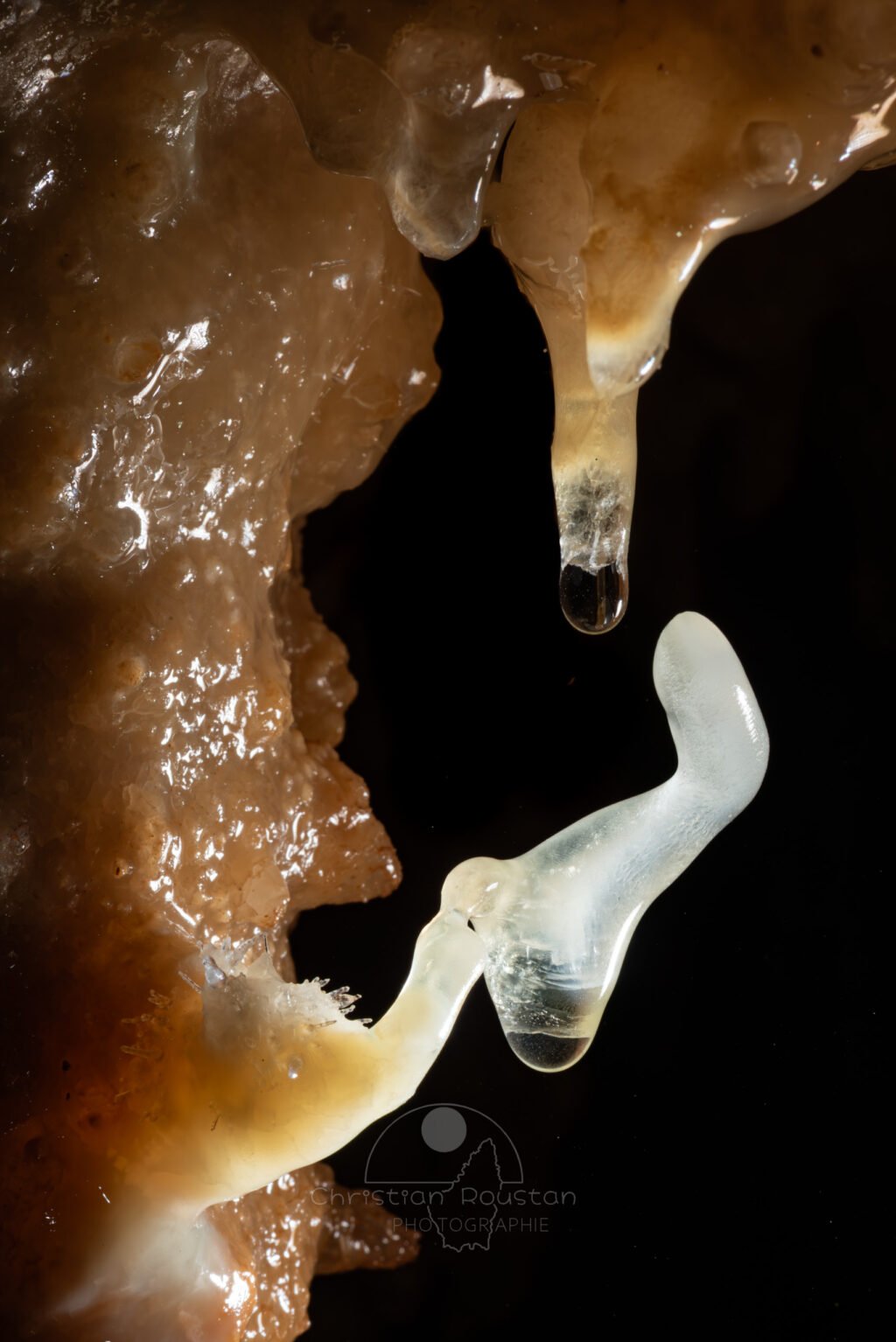 Excentrique proche d'une fistuleuse (Grotte de la Barbette, Réseau Estevan, Gard)