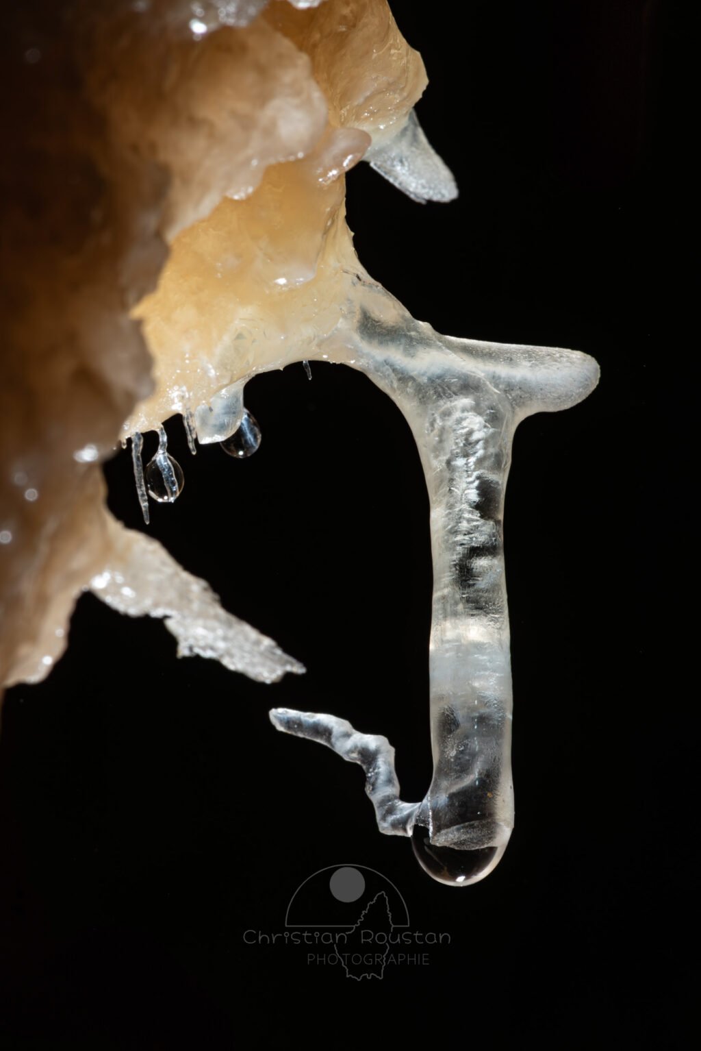Fistuleuse avec une fine excentrique à son extrémité (Grotte de la Barbette, Réseau Estevan, Gard)