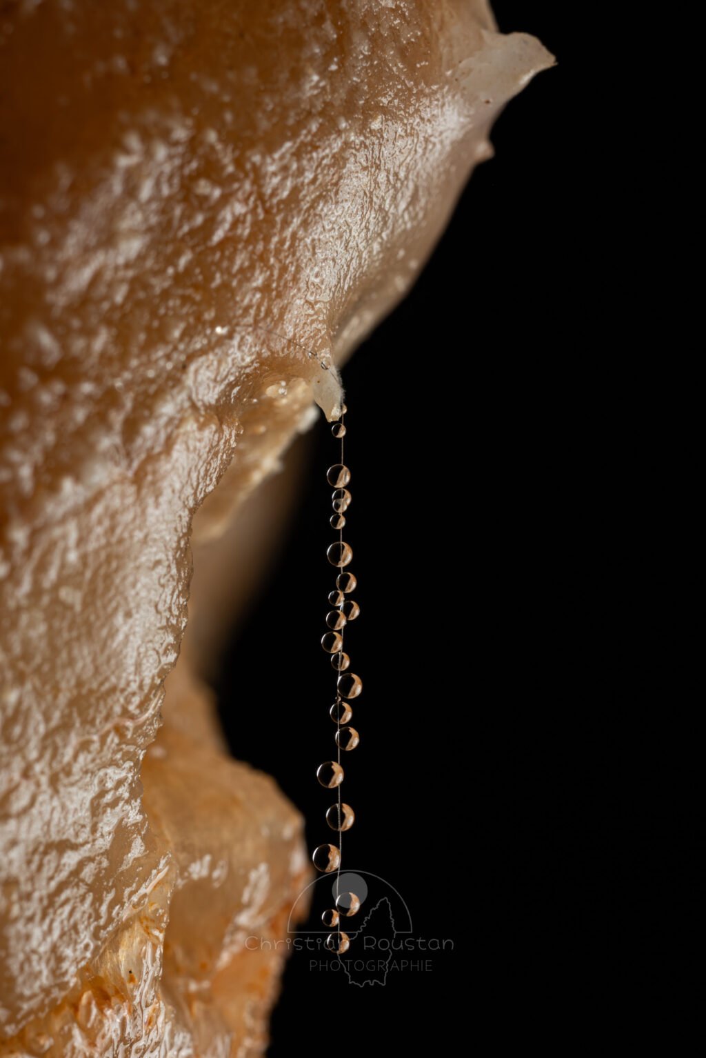 Un fil recouvert de perles d'eau (Grotte de la Barbette, Réseau Estevan, Gard)
