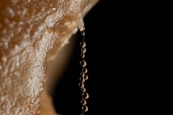 Un fil recouvert de perles d'eau (Grotte de la Barbette, Réseau Estevan, Gard)