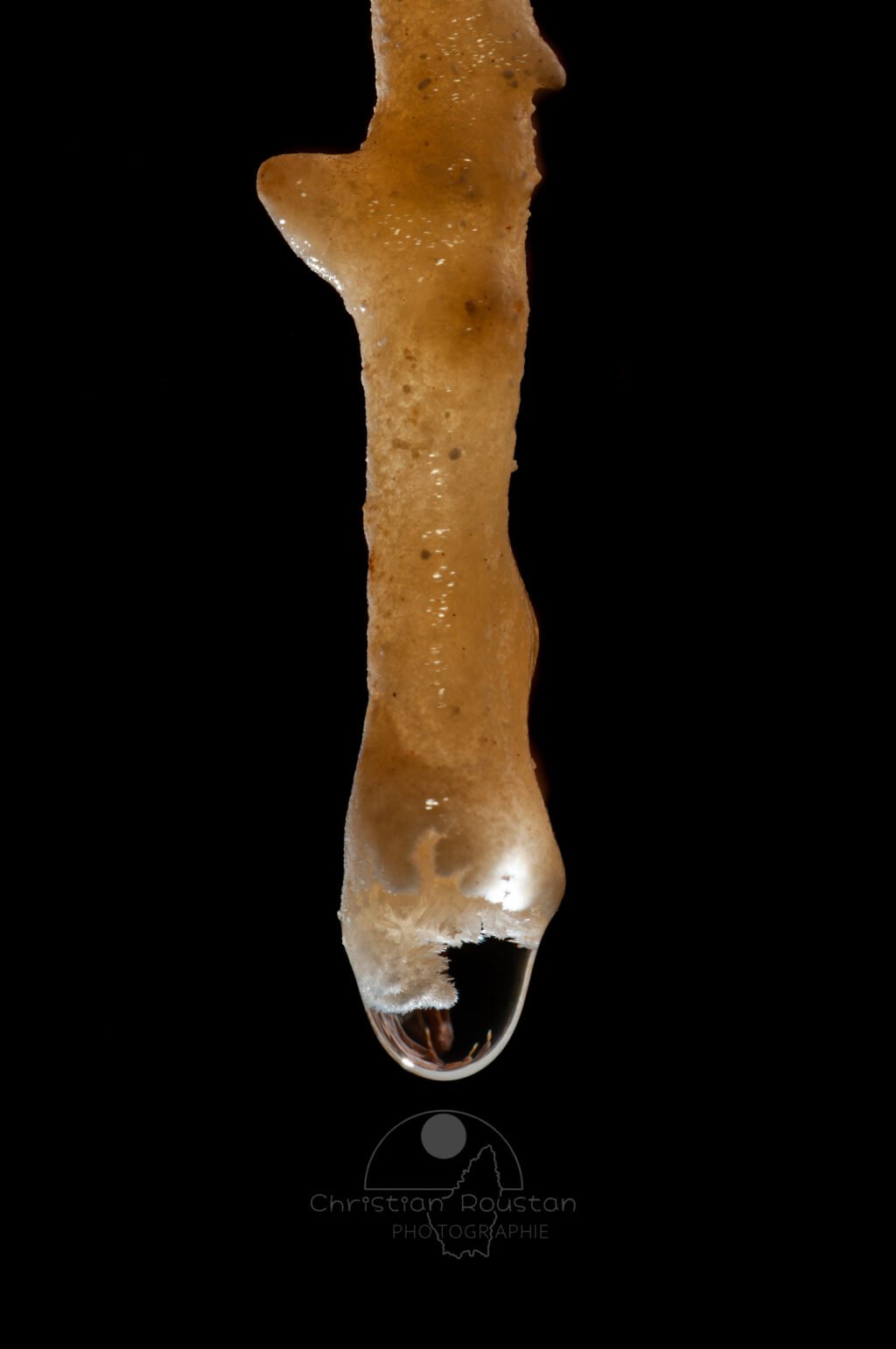 Fistuleuse avec des cristaux dans la goutte (Grotte de la Barbette, Réseau Estevan, Gard)