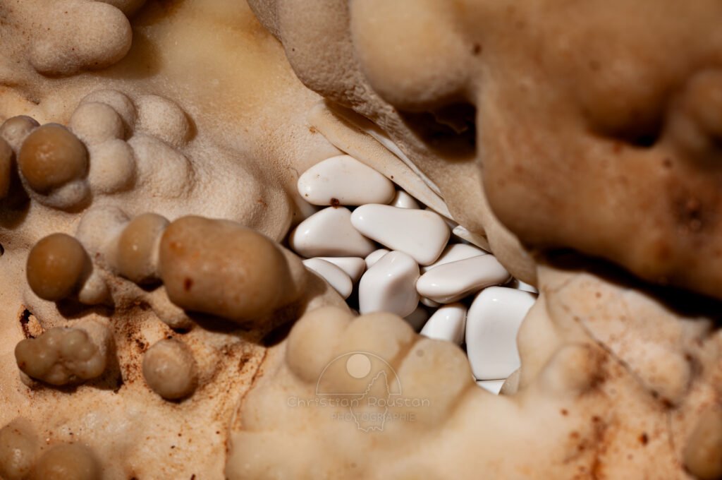 Nid de perles des cavernes en gros plan (Grotte de la Barbette, Réseau Estevan, Gard)